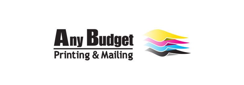 any budget logo