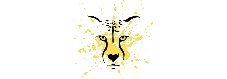 cheetah graphic